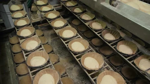A Large Number Of Test Forms Are Moving. Fermentation Of The Dough. Bakery. Stock Footage 174726560