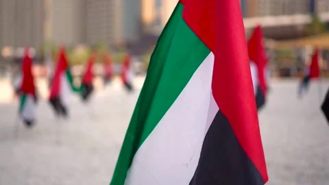 A large number of UAE flags on the background of skyscrapers Stock Footage 223840515