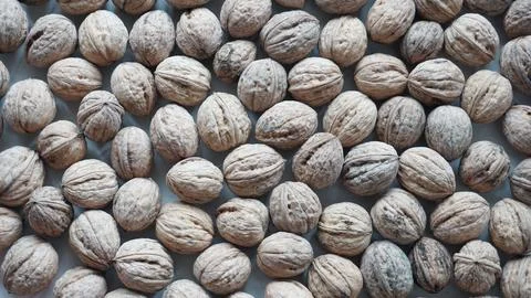 A large number of walnuts on a white background 写真素材