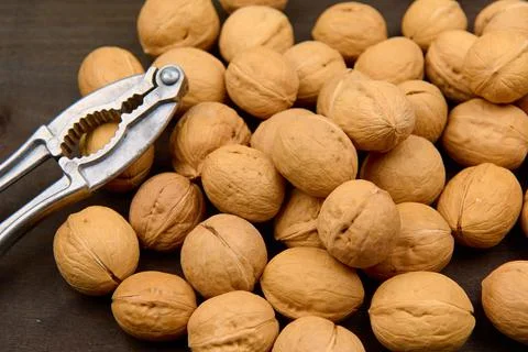 Large nutcracker and walnut on a dark background Stock Photos