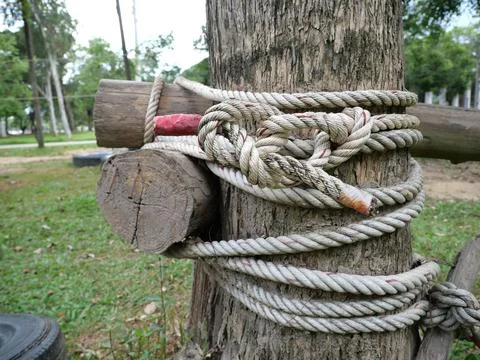Large nylon rope tied to a tree or object firmly attached for safety. Stock Photos