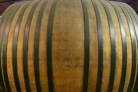 Large oak wine barrel aging viticulture process Stock Photos