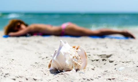 Large ocean shell on the sand against the background of a tanning girl in a c Stock Photos