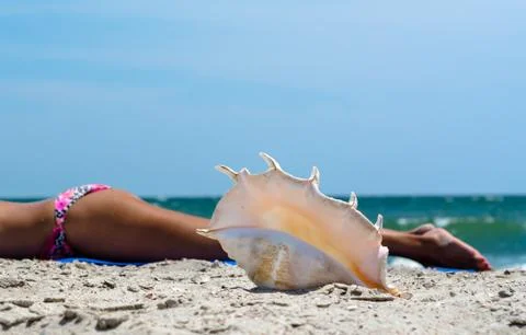 Large ocean shell on the sand against the background of a tanning girl in a c Foto stock