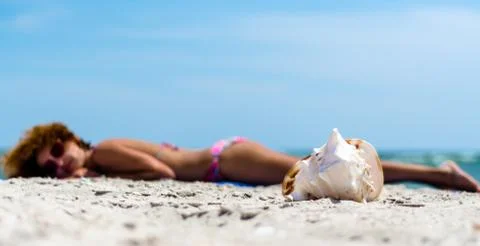 Large ocean shell on the sand against the background of a tanning girl in a c Stock Photos