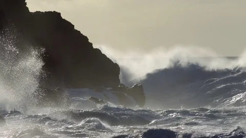 Large ocean waves roll into the coast of Hawaii and break on the shore. Vidéo 75694581