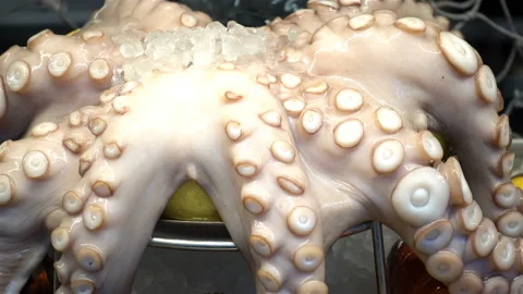 Large octopus with on a stand in a 4K Stock Footage 125658729