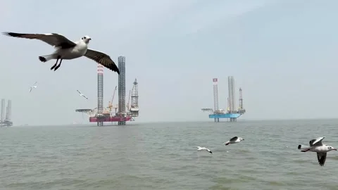 Large oil drilling rig with several ships on the background. Video stock 259883746