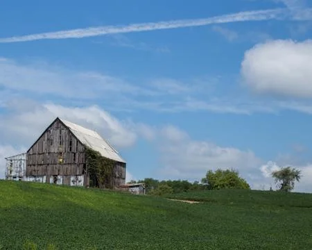 Large old barn in a field Stock Photos