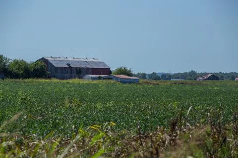 Large old barn in a field Stock Photos