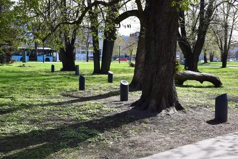 Large old chestnut tree with ground level park lights Stock Photos