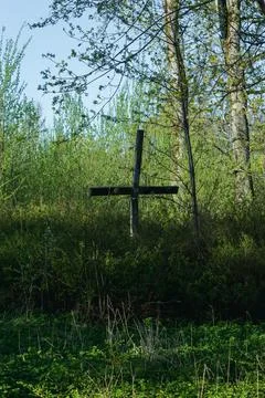 A large old scary hooked cross in a deep forest in the bushes on a sunny spri Stock Photos