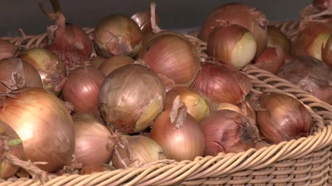 Large onion harvest in a plastic basket. Stock Footage 244971401