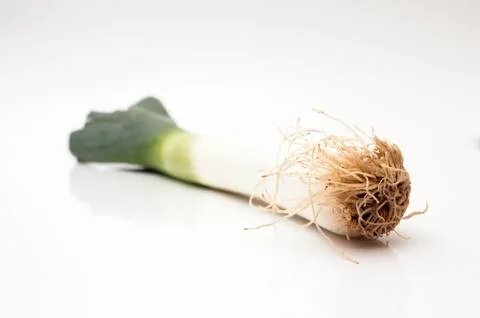 Large onion Stock Photos