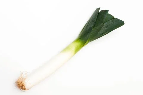 Large onion Stock Photos