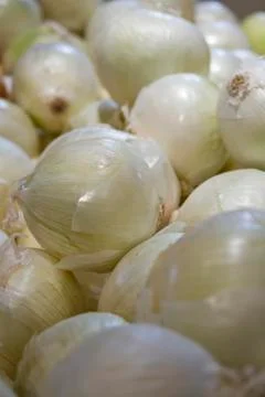 Large onions Stock Photos