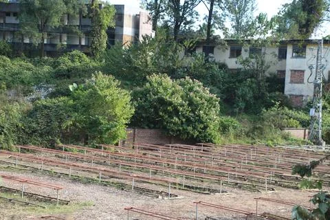 A large open area of land with rows and columns of rebar in the ground, sur.. Stock Photos