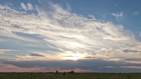 A large, open field with a few trees in the distance Stock Footage 293182422