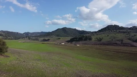 A large, open field with a few trees in the background. aerial view, drone .. Stock Footage 303773388