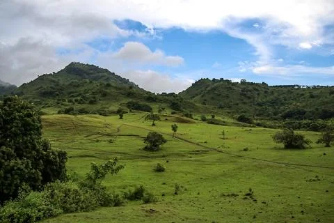 A large, open field with a few trees scattered throughout Stock Photos