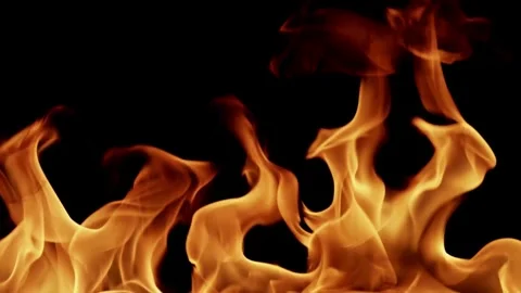 Large orange fire flames rising against a black background Stock Footage 329731775