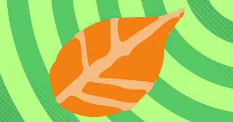 Large orange leaf shape resting in illustration, with alternating lime green Stock Illustration