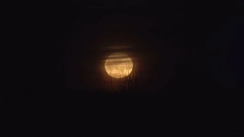 Large orange moon rising above the tree line into the clouds Stock Footage 332604554