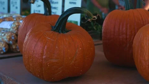 Large orange pumpkin with long curved stem displayed at farm stand Stock Footage 346116695