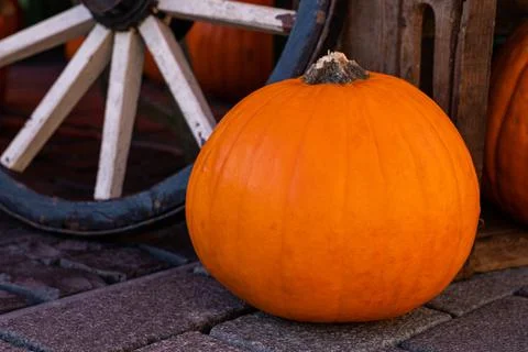 A large orange pumpkin lying on the background of a cartwheel. Stock Photos
