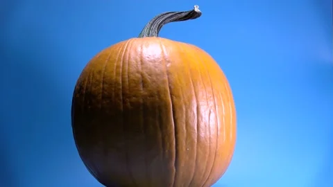 Large orange pumpkin spinning slowly isolated on blue ready for Autumn Stock Footage 218412735