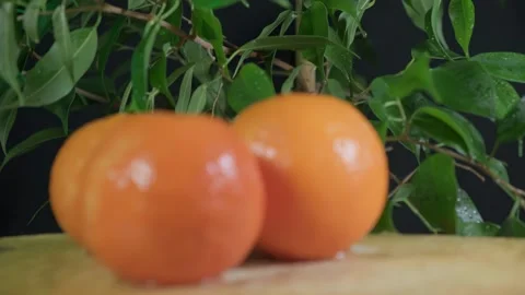 Large orange tangerines lie on a board against a background of green leaves Stock Footage 264097426