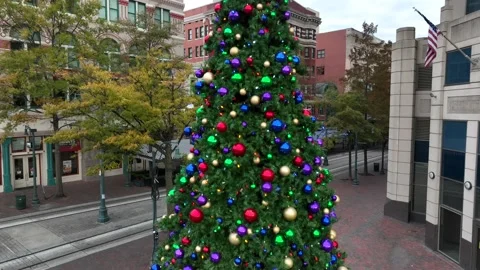 Large outdoor Christmas tree decorated for holidays in USA. Rising aerial Stock Footage 224471217