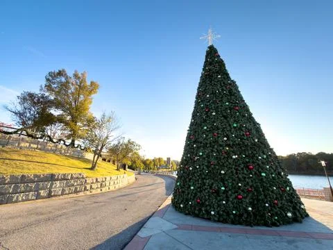 Large Outdoor Christmas Tree at a Waterfront Park on a Sunny Day Stock Photos