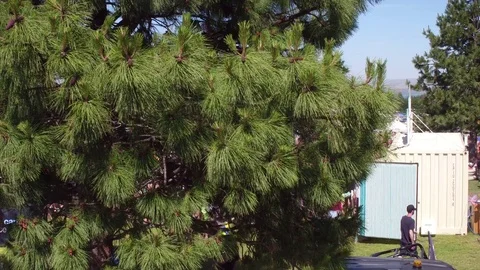 Large outdoor pool party Video stock 78390400