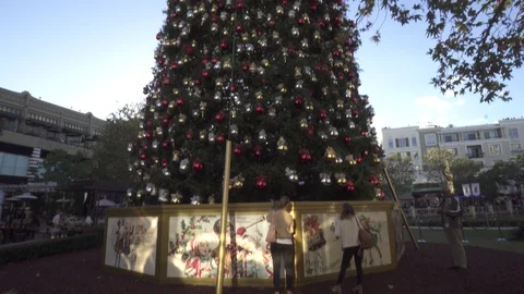 Large Outside Christmas Tree Stock Footage 112893663