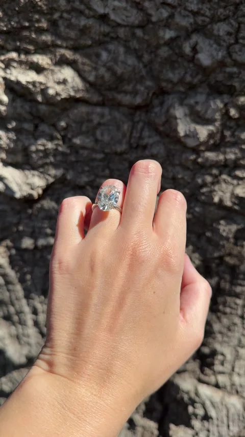Large oval diamond engagement ring in front of oak tree bark in natural daylight Video stock 320313945