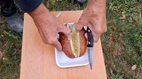 Large overripe seed cucumber.The process of obtaining cucumber seeds. Stock-Footage 345761072