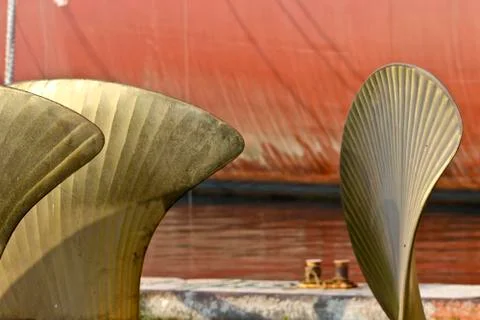 Large paddles Stock Photos