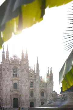 Large palm branches on the background of the building Duomo. Milan Italy 08.2020 Foto stock