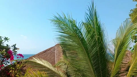 Large palm tree leaves on the background of the ocean and bungalows Stock Footage 261050705