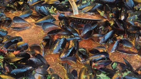 Large pan of simmering mussels Stock Footage