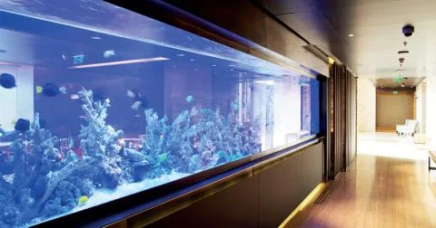 Large panoramic aquarium Stock Photos