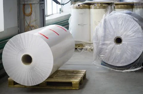 Large paper roll for typography. Flexographic white self-adhesive paper for the Stock Photos