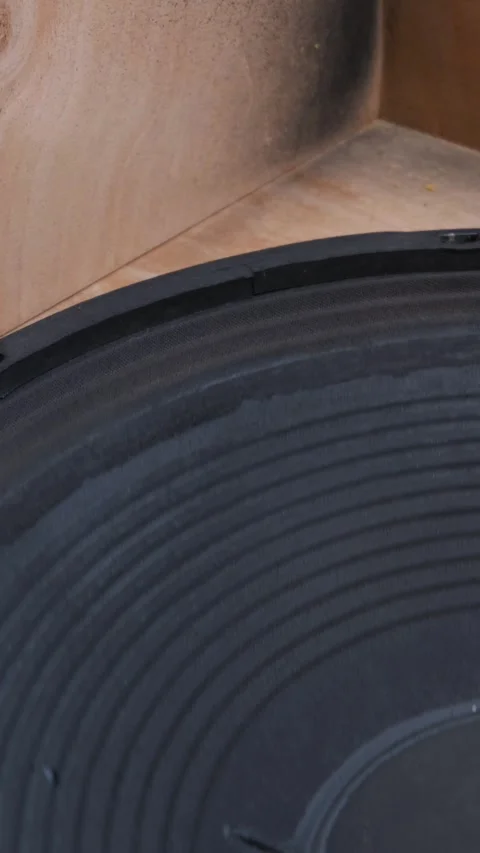 Large Paper Speaker Cone Vibrating Inside Wooden Acoustic Box Stock Footage 334107709
