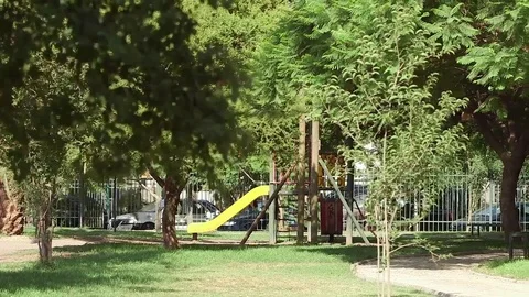 Large park Stock Footage 77101315