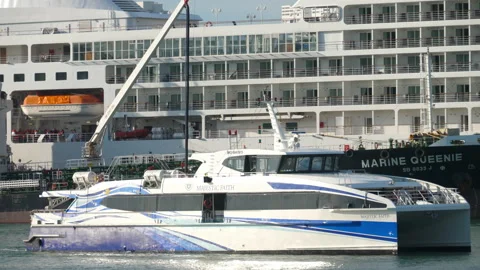 Large passenger cruise ship Stock Footage 222423937