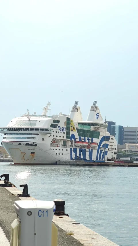 Large Passenger Ferry Docked in Harbor Stock Footage 342751694