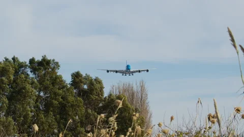 Large passenger plane approaching and landing Stock-Footage 306680352