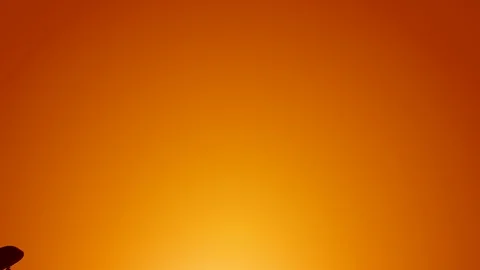 A large passenger plane takes off against the background of a sunset. Orange Stock Footage 123541762