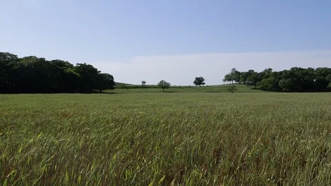 A large pasture in rural Oklahoma Stock Footage